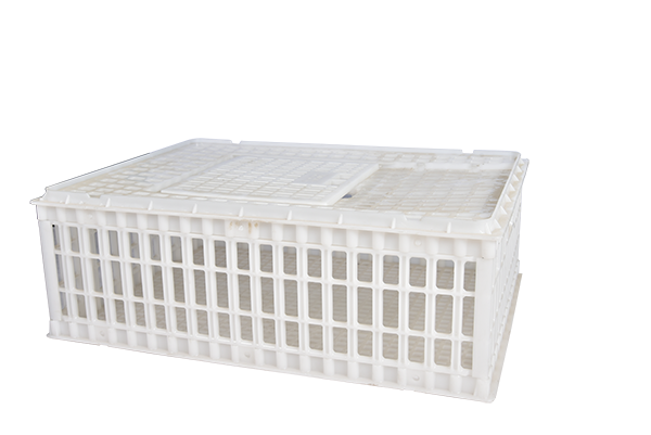 雞籠-雞籠方籠Q125